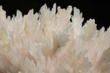 Pink Manganoan Calcite Crystal Cluster - Fluorescent! #337391-2